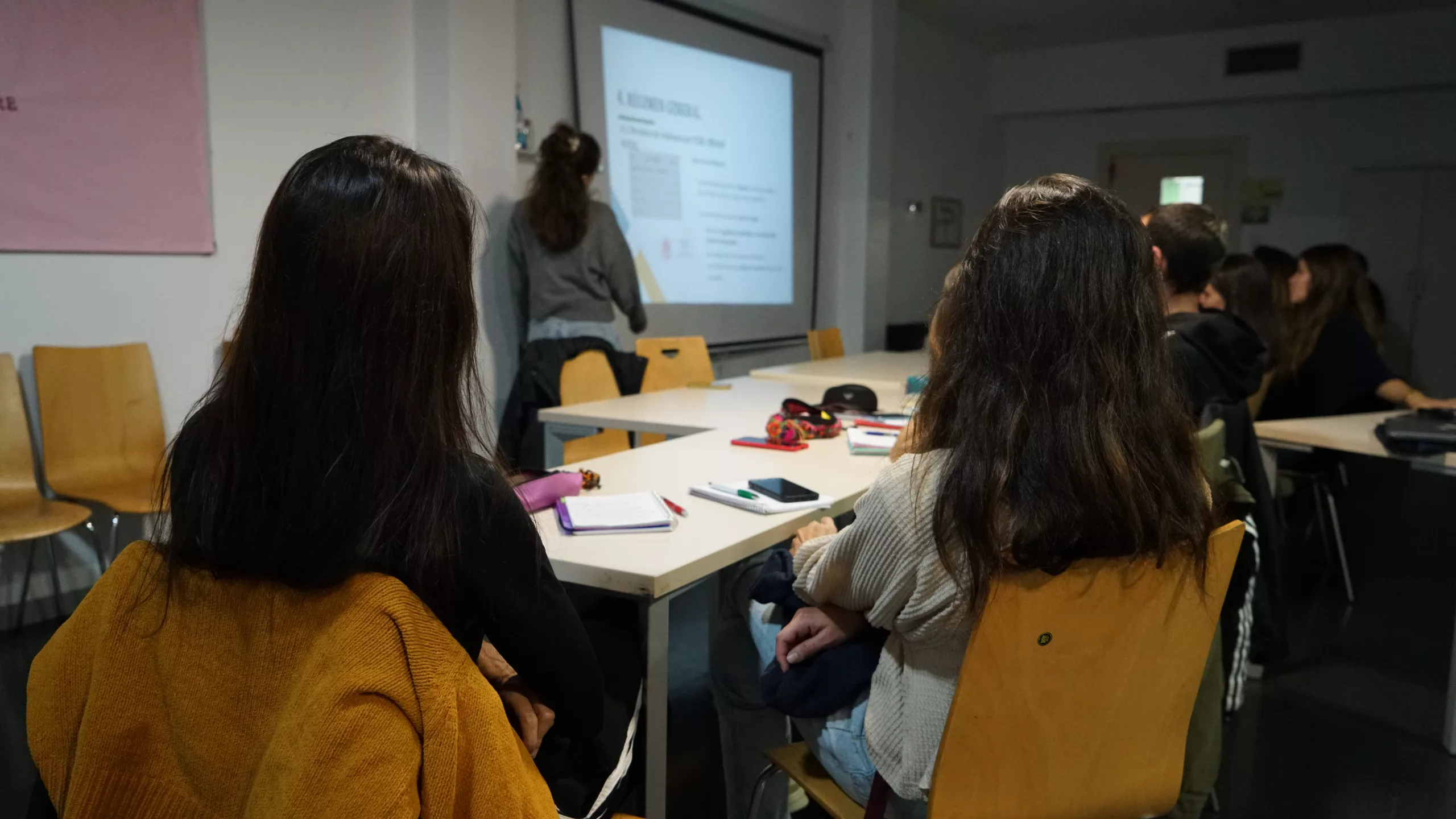 Noies i nois mirant tots la pantalla durant una formació.