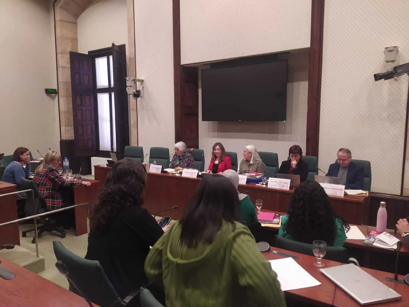 Rosa Balaguer a la Comissió de la infància del parlament